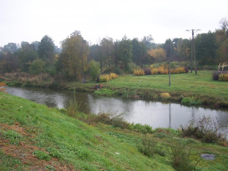 Rzeka Drzewiczka