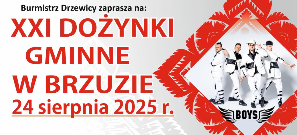 Grafika z napisem ''Burmistrz Drzewicy zaparasza na Dożynki Gminne w Brzuzie 24 sierpnia 2025 r.'' oraz zdjęcie czteroosobowego zespołu Boys