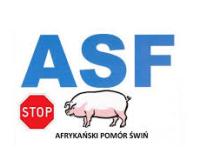 Niebieski napis ASF, znak stop i obraz świnii