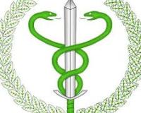 Na obrazku widoczne jest logo: miecz opleciony przez dwa zielone węże, otoczony wieńcem z liści.