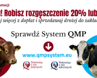 Duży napis: „Rolniku! Robisz rozgęszczenie 20% lub 50%?” Pod nim hasło: „Zyskaj więcej z dopłat i sprzedawaj drożej do zakładów!” Informacja zachęcająca do sprawdzenia: „System QMP” Adres strony: www.qmpsystem.eu, Po lewej stronie znajduje się brązowa krowa (rasa mięsna). Po prawej stronie czarno-biała krowa (rasa mleczna). W centrum jest strzałka skierowana w dół.
