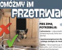 Napis pomóżmy im przetrwać na obrazku pies w budzie