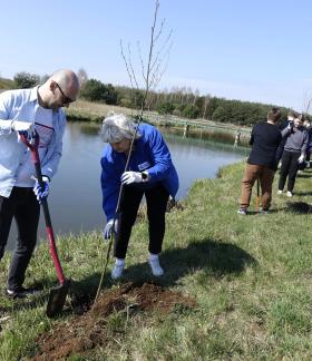 Nad brzegiem Drzewiczki na Dąbrówce drzewo sadzi Zastępca Burmistrza Drzewicy Dominik Niemirski wspólnie z pracownicą PGW Wody Polskie. Po prawej grupa uczniów SP w Drzewicy