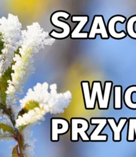 Na obrazku widać zieloną gałązkę pokrytą szronem i lodowymi kryształkami, na tle rozmytego nieba. Po prawej stronie znajduje się duży napis: „Szacowanie szkód – wiosenne przymrozki”.