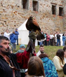  Sokolnik z mikrofonem trzyma na rękawicy drapieżnego ptaka, pokazując go zgromadzonej wokół publiczności na tle kamiennych murów zamku w Drzewicy