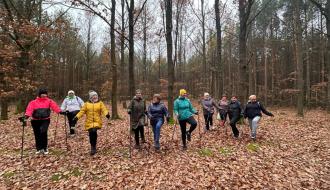 Zajęcia ruchowe w lesie podczas warsztatów nordic walking