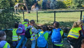 Dzieci oglądają żyrafy w łódzkim ZOO