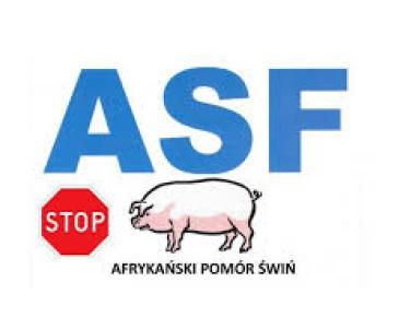 Niebieski napis ASF, znak stop i obraz świnii