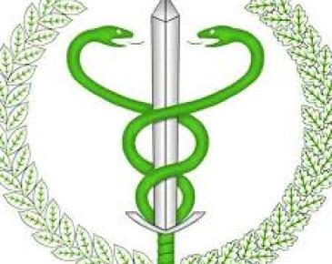 Na obrazku widoczne jest logo: miecz opleciony przez dwa zielone węże, otoczony wieńcem z liści.