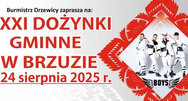 Grafika z napisem ''Burmistrz Drzewicy zaparasza na Dożynki Gminne w Brzuzie 24 sierpnia 2025 r.'' oraz zdjęcie czteroosobowego zespołu Boys
